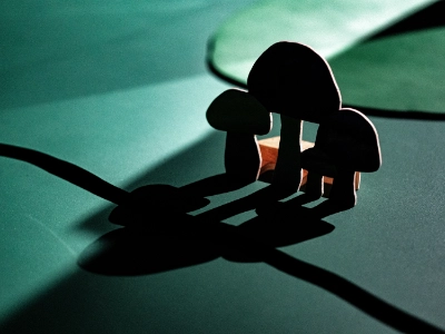 Ensemble TACTUS Le silence des champignons Raphael Aggery Eleonora Ribis Musique Spectacle Jeune Public 2-6 ans Lieux non dedies